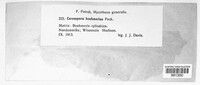 Image Associated With the Occurence